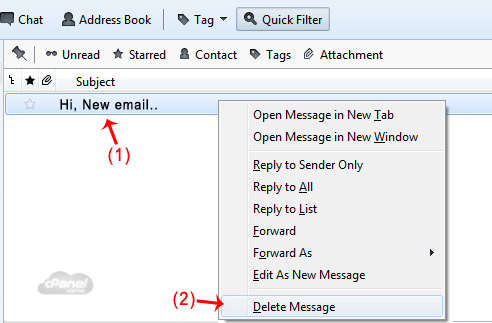 thunderbird-delete-email.gif