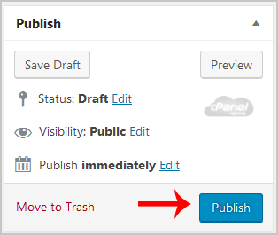 wp-publish-first-post.gif